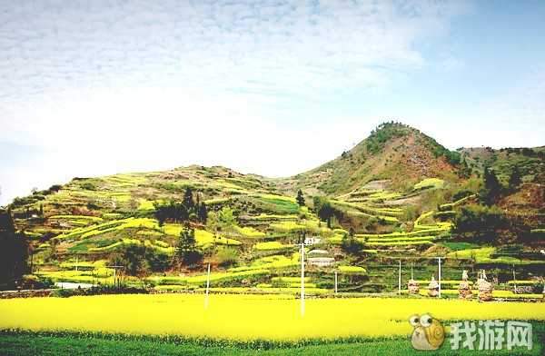 百里花园.jpg